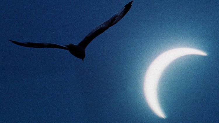 Cancele sus planes para el fin de semana: la luna negra podría ser el apocalipsis