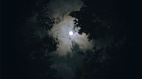 'El Triángulo de las Bermudas chino': Así es el valle de bambú negro que aterroriza al mundo