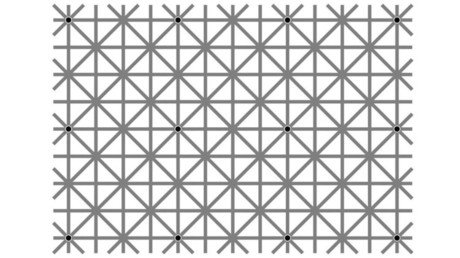 ¿Es capaz de ver los 12 puntos negros a la vez? Una ilusión óptica enloquece a los internautas