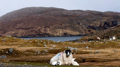 Un hallazgo en unas islas de Reino Unido sugiere que Marte puede albergar vida