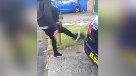 "Un ruin absoluto": El cruel maltrato a un gato provoca el arresto de un joven (video)