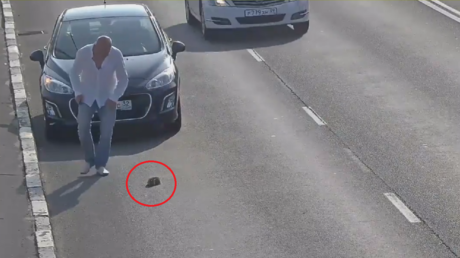 '1000 carros y 7 vidas': Rescatan a un indefenso gato de una concurrida avenida rusa