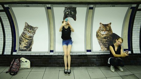 Los aspectos más positivos de esta semana en imágenes que le harán sonreír