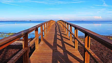 "Parece una broma": Un extraño trastorno cerebral 'hace desaparecer' la mitad de nuestro mundo