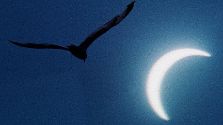 Cancele sus planes para el fin de semana: la luna negra podría ser el apocalipsis