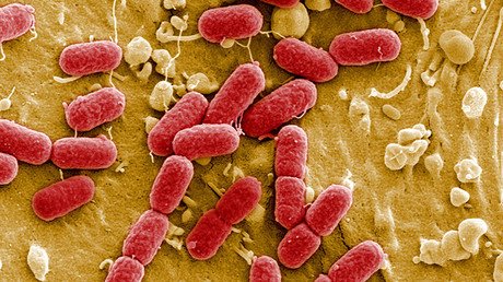 'Transplantes fecales': Las heces de otra persona pueden ayudarle a bajar de peso