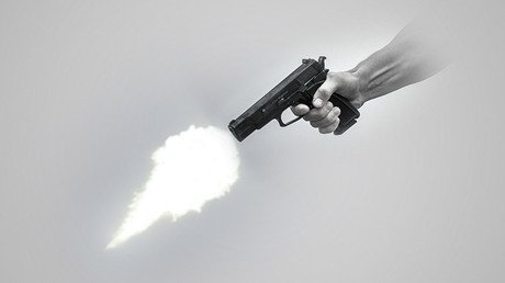 ¿Los violentos nacen o se hacen? Biólogos españoles lo descubren