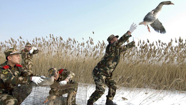 Universo paralelo: 10 hechos de China que le dejarán boquiabierto