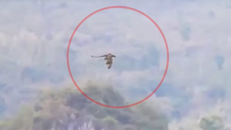 Graban en video a un 'dragón' sobrevolando China