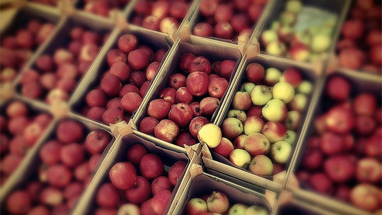 Rusia y Argentina intensifican su comercio bilateral en el sector agrícola