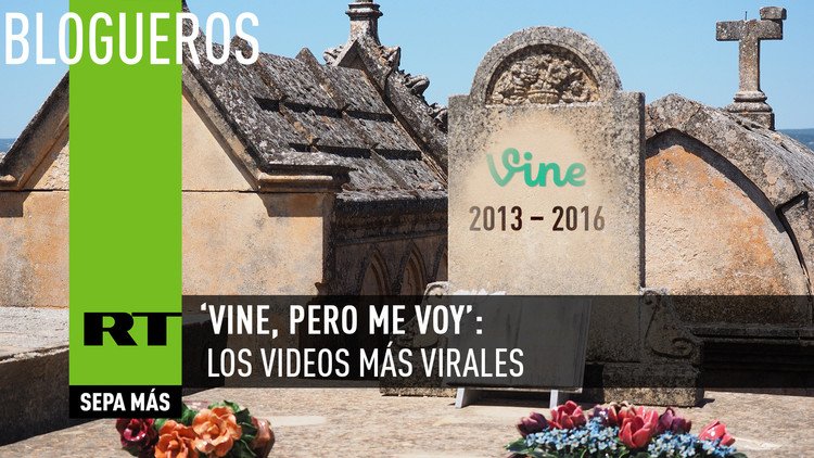 'Vine, pero ya me voy': los videos más virales y divertidos de la plataforma de Twitter