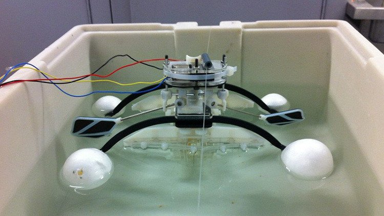 Desarrollan un robot capaz de devorar organismos vivos para obtener energía