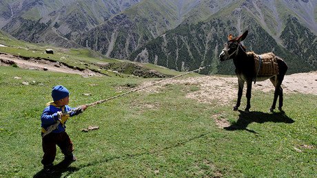 ¿Por qué este país asiático intenta comprar todos los burros de África?
