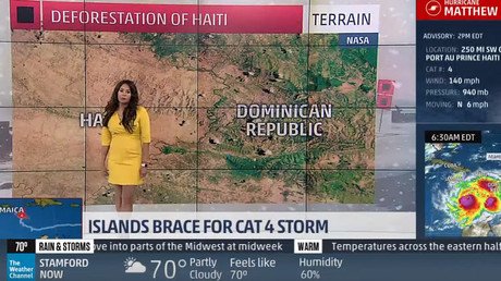 Haití está deforestado porque "los niños hambrientos devoran los árboles" (VIDEO)