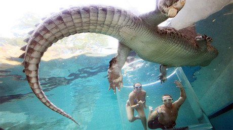 La 'jaula de la muerte' donde la gente se encierra por su propia voluntad (FOTOS)