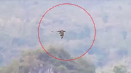 Graban en video a un 'dragón' sobrevolando China