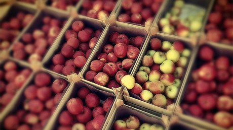 Rusia y Argentina intensifican su comercio bilateral en el sector agrícola