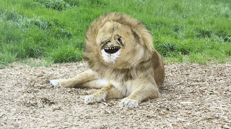 Se vuelve viral una cuenta en Instagram en que un padre 'da vida' a los dibujos de su hijo