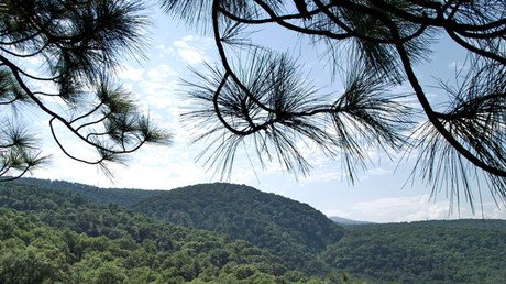 México: Un proyecto geotérminco pone en peligro la relación 'yin yang' entre un bosque y una ciudad