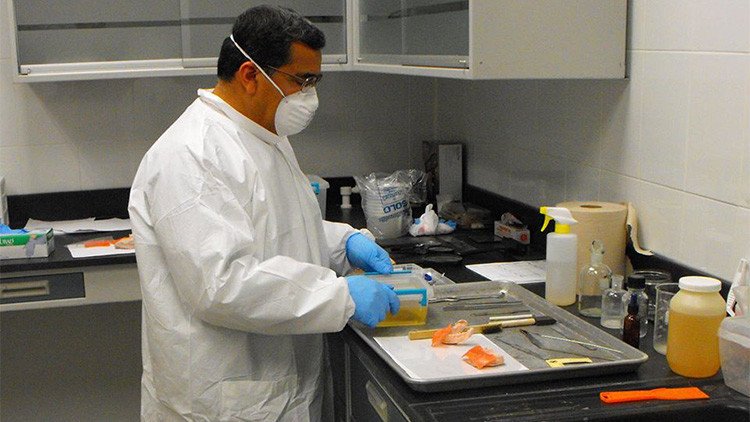 Un médico mexicano patenta una fórmula que 'devuelve la vida' a los muertos