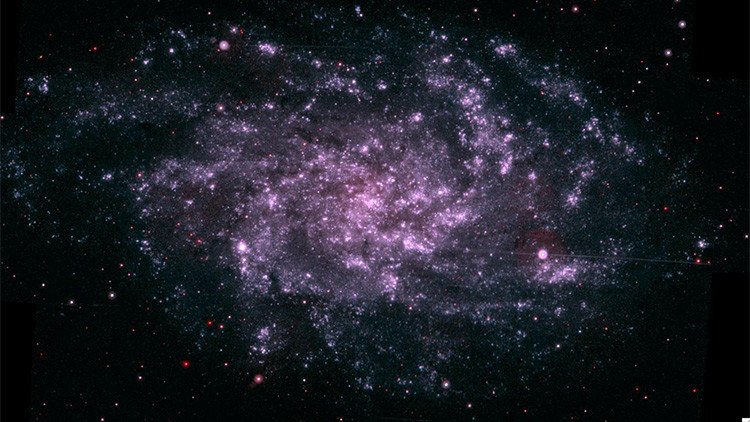 ¿Vivimos dentro de un extraterrestre?: Un científico sugiere por qué no encontramos vida alienígena