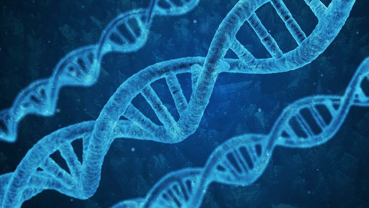 ¿Es posible que la niña criogenizada despierte cuando sea descongelada?