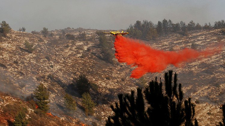 Israel en llamas: Tel Aviv pide ayuda del exterior para combatir varios incendios (Videos)