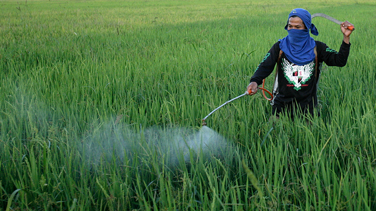 Los agrotóxicos: el cáncer del modelo productivo argentino