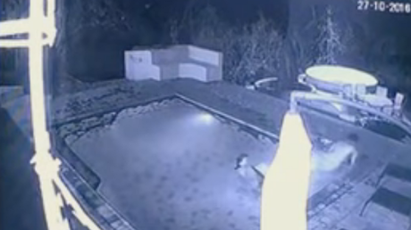 ¡Qué caballero! Deja a su pareja sola en la piscina tras aparecer repentinamente un cocodrilo