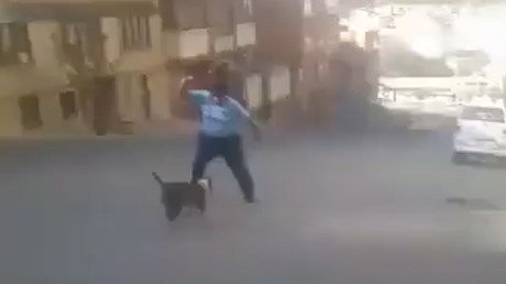 Polémico video: Un hombre se defiende de un pitbull con un machete