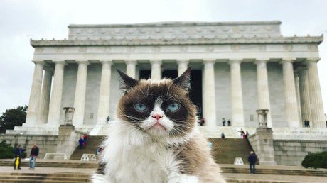 Las ridículas fotos que deberían ser borradas de la faz de la Tierra (o al menos de Internet)