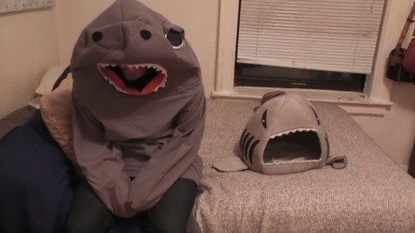 Se viste como el juguete favorito de su gato, pero algo falló