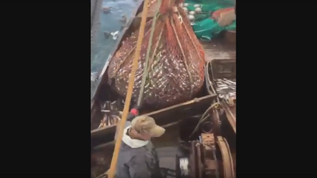 "Mira que gordito está": estos pescadores rusos se llevaron la sorpresa de sus vidas