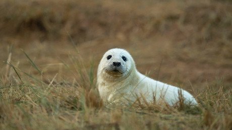Lo más curioso y significativo de esta última semana en espectaculares imágenes