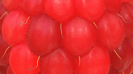 Reto visual: ¿Reconoce estos objetos cotidianos observados con lupa?