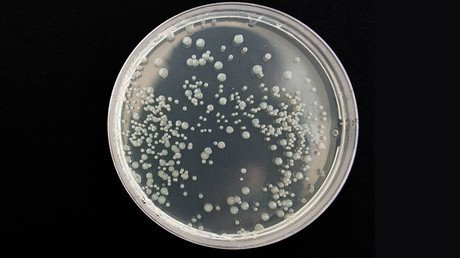 Descubren potentes antibióticos en el cuerpo humano