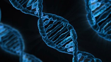 Descubren una revolucionaria técnica que permite curar genes dañados y prolongar la vida