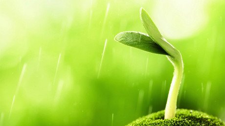 Científicos desarrollan un método de cultivo que podría acabar con el hambre en el mundo