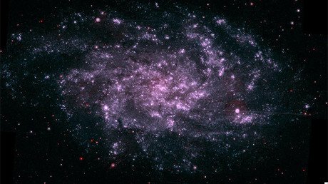 ¿Vivimos dentro de un extraterrestre?: Un científico sugiere por qué no encontramos vida alienígena