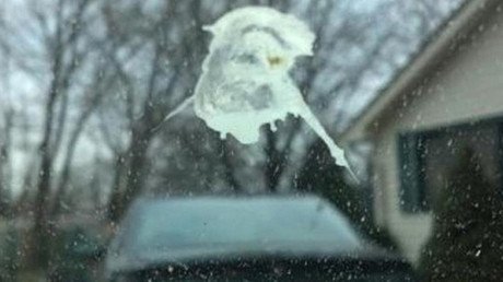 Un hombre de Ohio encuentra a Jesús en excrementos de ave