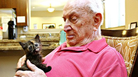 Llevan gatitos abandonados a un asilo y esto fue lo que pasó