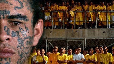 Un "ejército de moscas" tiene de rodillas a El Salvador y ya controla más del 90% de su territorio