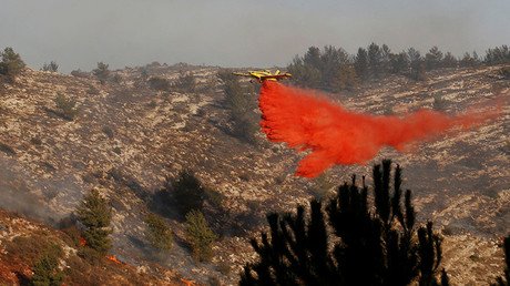 Israel en llamas: Tel Aviv pide ayuda del exterior para combatir varios incendios (Videos)