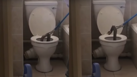 ¿Quiere volverse paranoico? Una inmensa cobra sale del inodoro