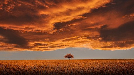 Estos son los países más seguros de América Latina