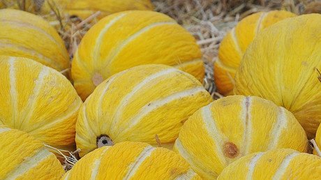 "No se dan cuenta de lo que pasa aquí": Por qué debería dejar de comprar melones