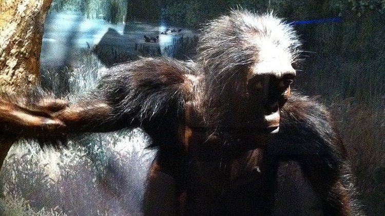 Descubren nuevos detalles de la vida de nuestro ancestro más famoso