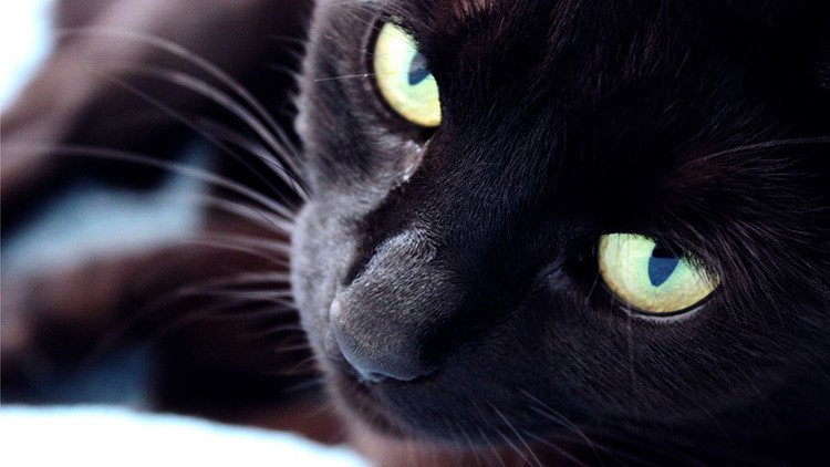 TEST: ¿Sabe espantar la mala suerte con ayuda de las supersticiones rusas?