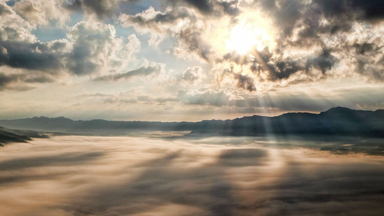 Un pastor 'cura' a los feligreses con desinfectante porque Dios se lo dijo (Foto)