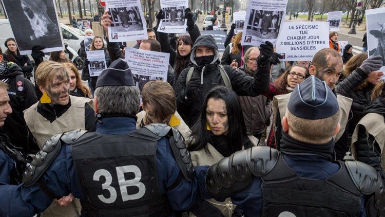 FUERTES IMÁGENES: Activistas veganos irrumpen en un matadero en Francia 